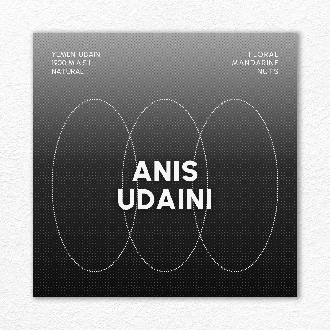 ANIS UDAINI